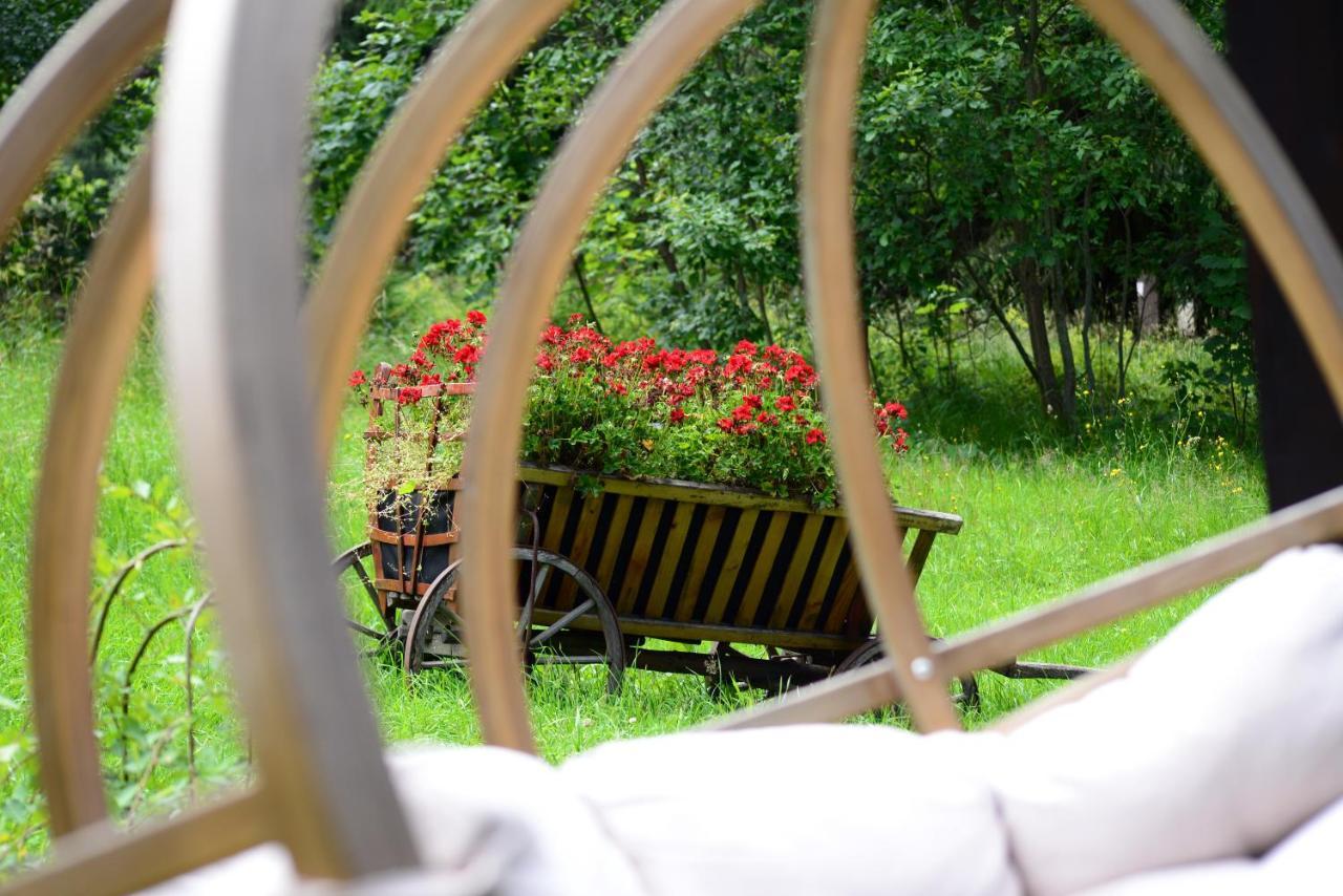 Elexus Boutique Hotel Predeal Luaran gambar