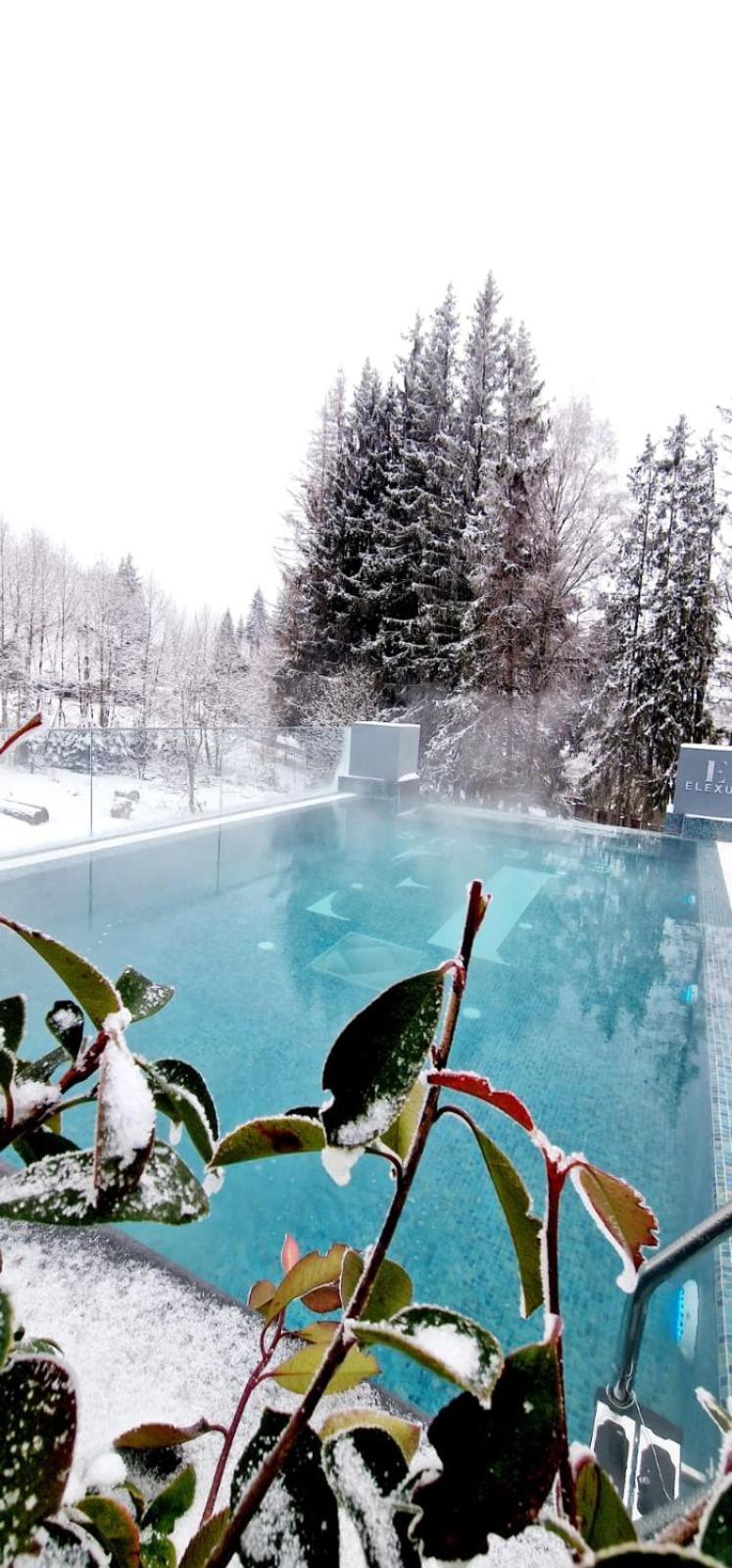 Elexus Boutique Hotel Predeal Luaran gambar